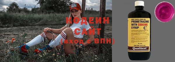 крисы Сураж