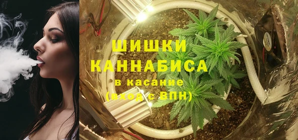 дурь Нея