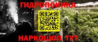 стафф Будённовск