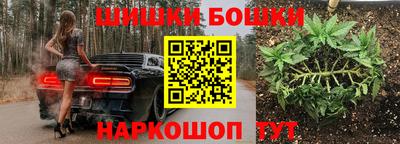 стафф Будённовск