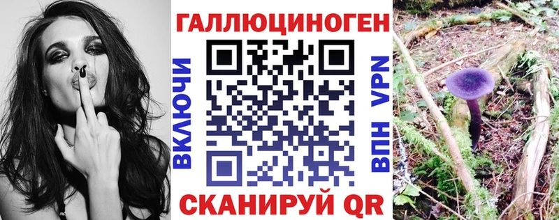 Псилоцибиновые грибы мицелий  купить наркоту  Новомосковск 