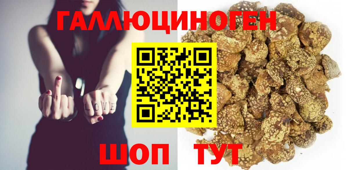 Галлюциногенные грибы Новомосковск