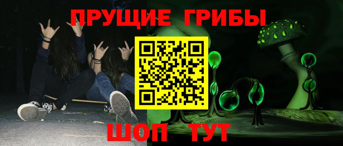 сколько стоит  Псилоцибиновые грибы Magic Shrooms  Новомосковск  Вход с VPN  Псилоцибиновые грибы GOLDEN TEACHER 