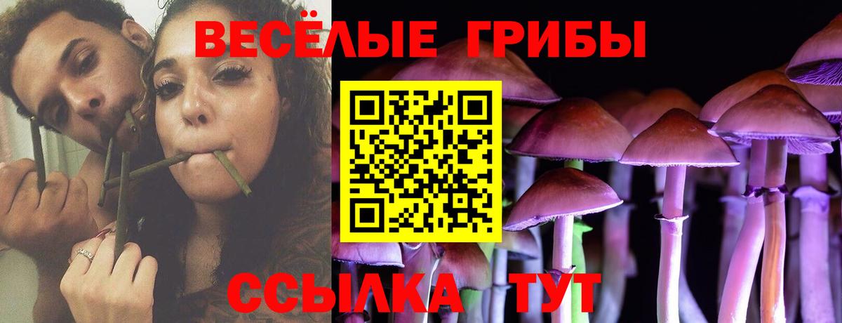 Галлюциногенные грибы прущие грибы Новомосковск